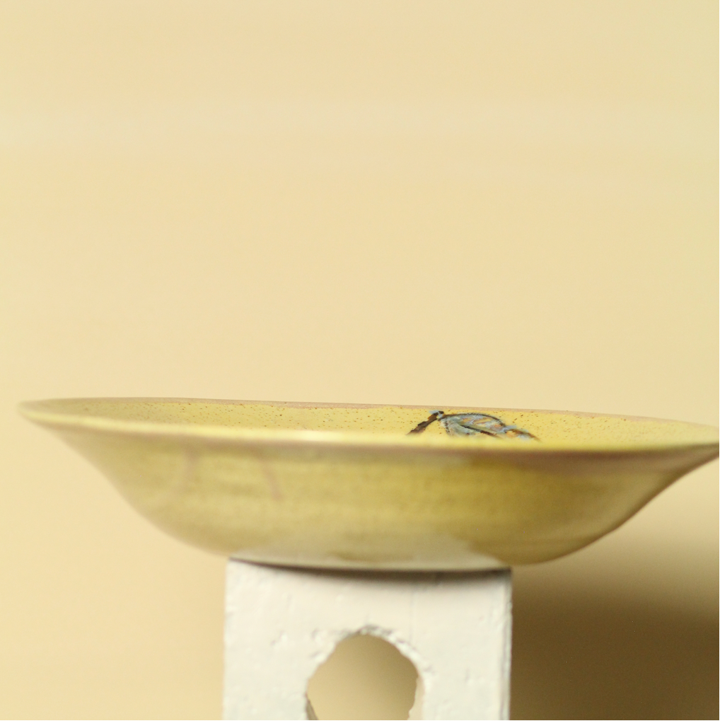 Ceramic bowl with a fish design on a beige background