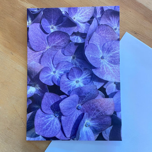 Wild Flora Greeting Card Series