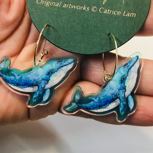 Rainbow Australian Marine Lifes Earrings Collection