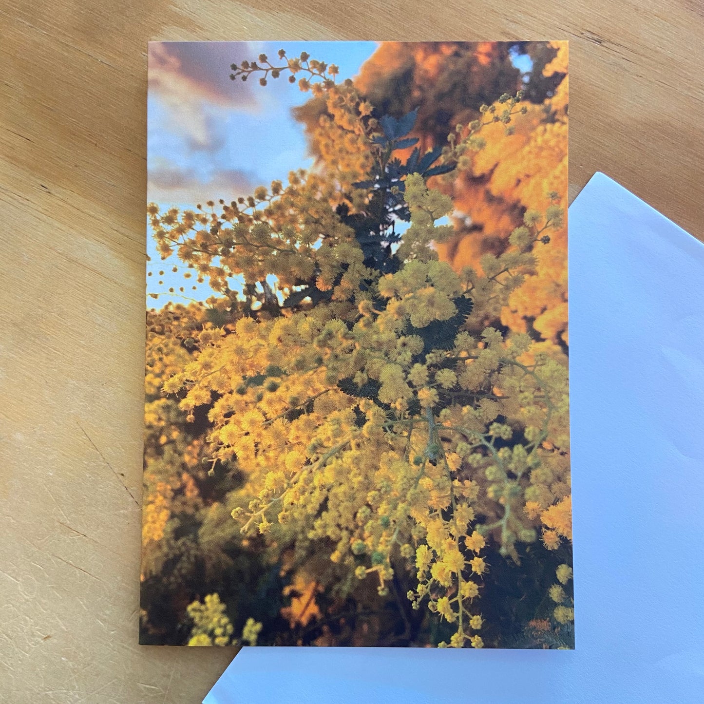 Wild Flora Greeting Card Series
