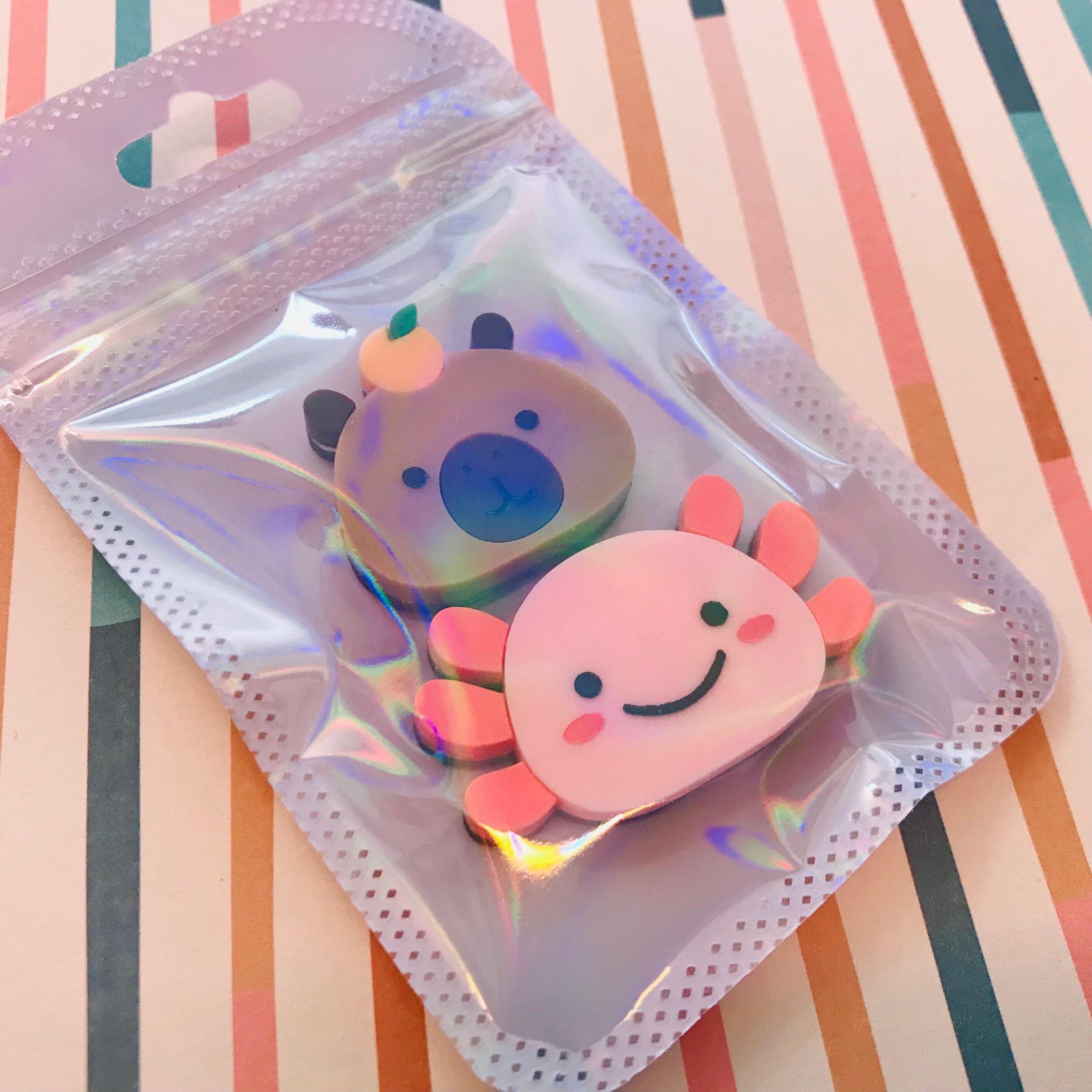 Acrylic Animal Fridge Magnets (packs of 2)