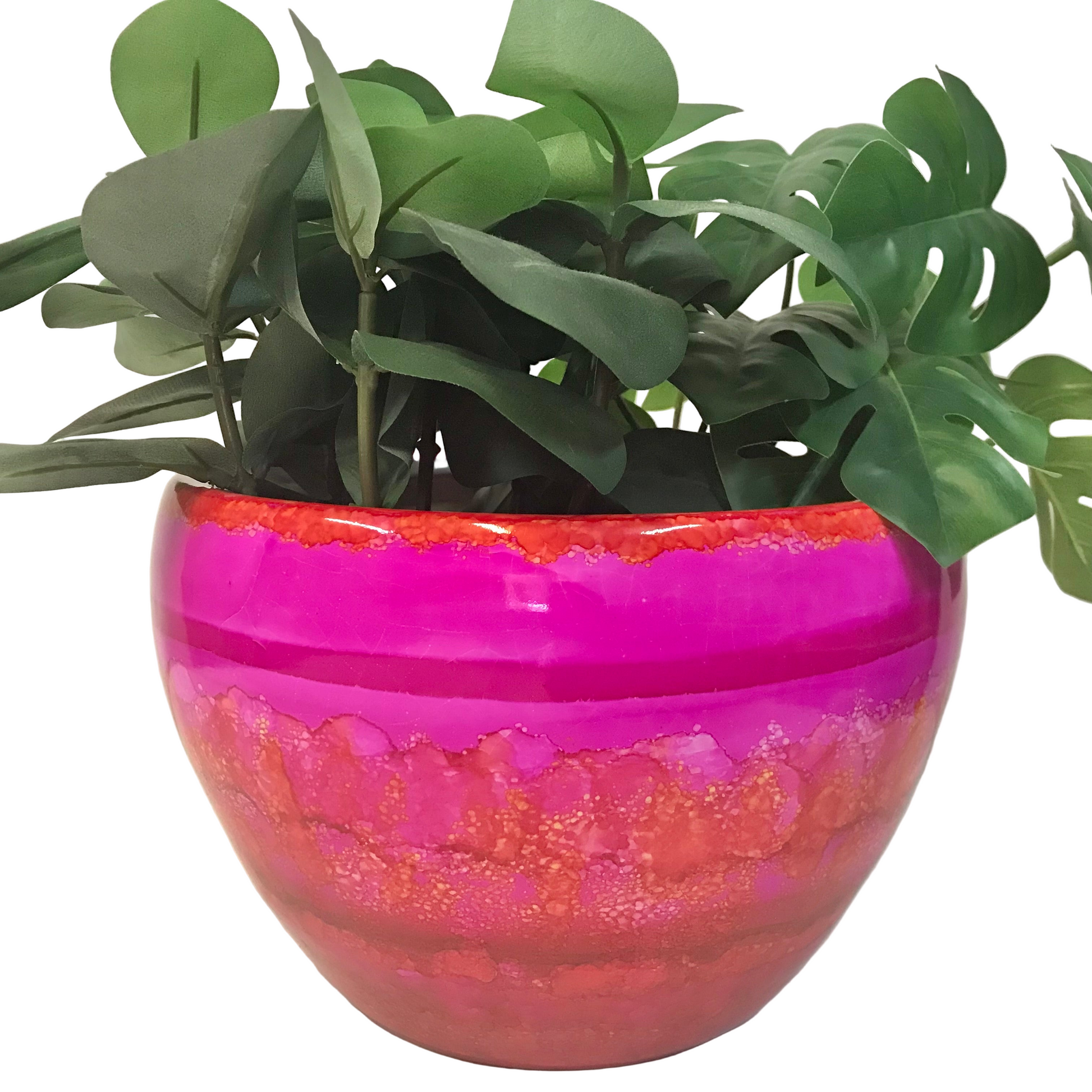 Colorful glass planter with a plant on a white background