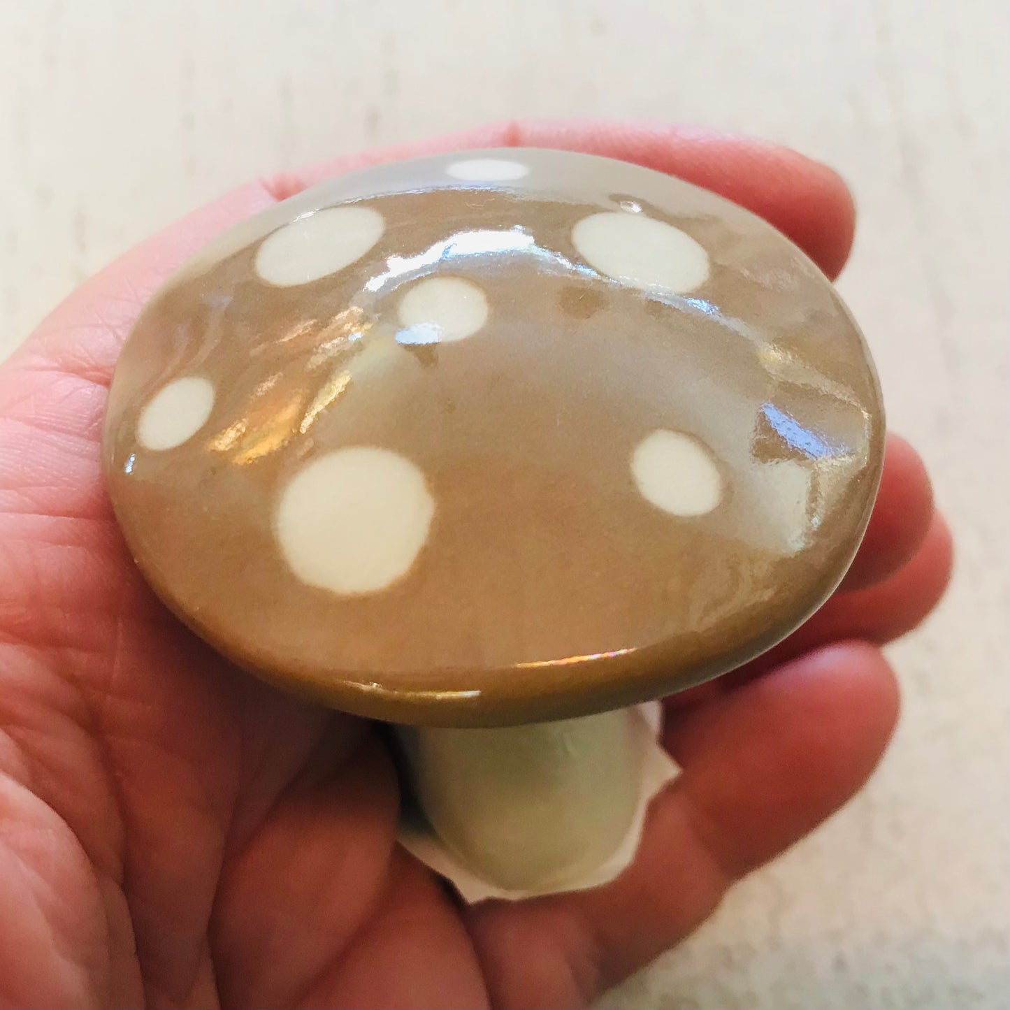 Ceramic Handthrown Enchanted Mushies