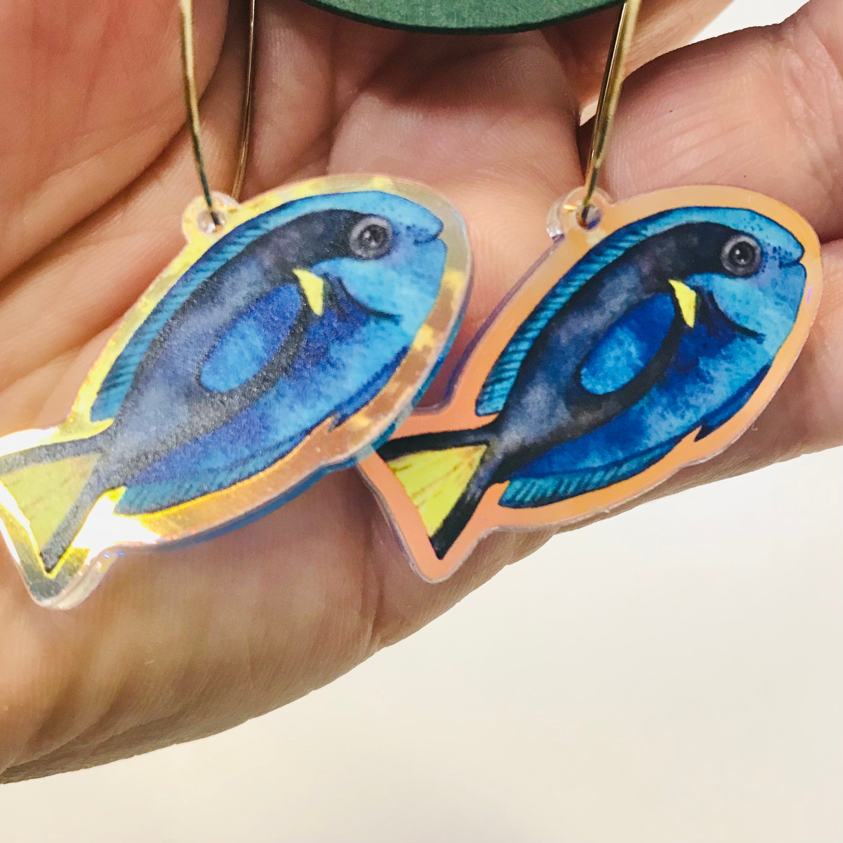 Rainbow Australian Marine Lifes Earrings Collection