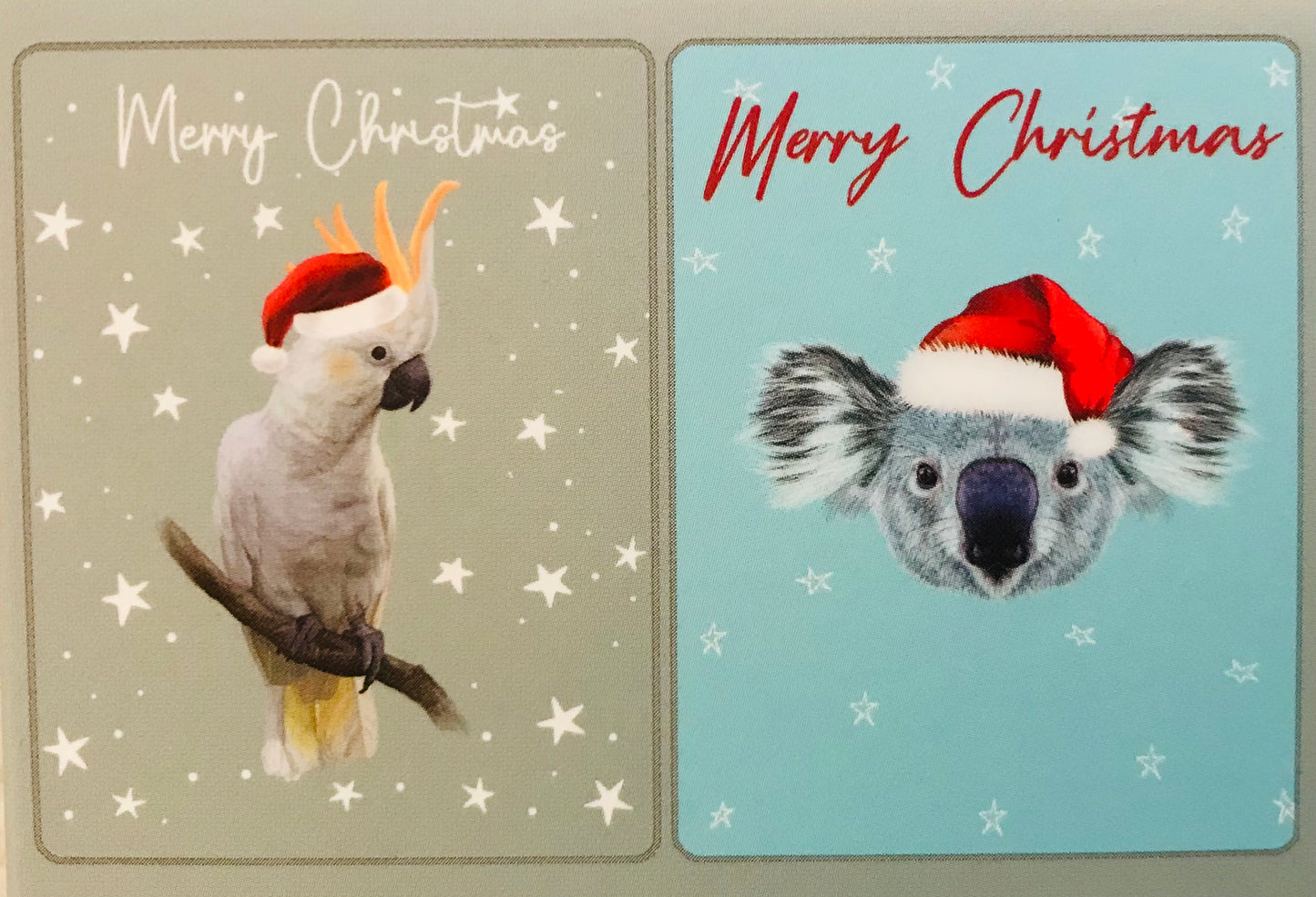 Charity Boxed Christmas Cards - pack of 10