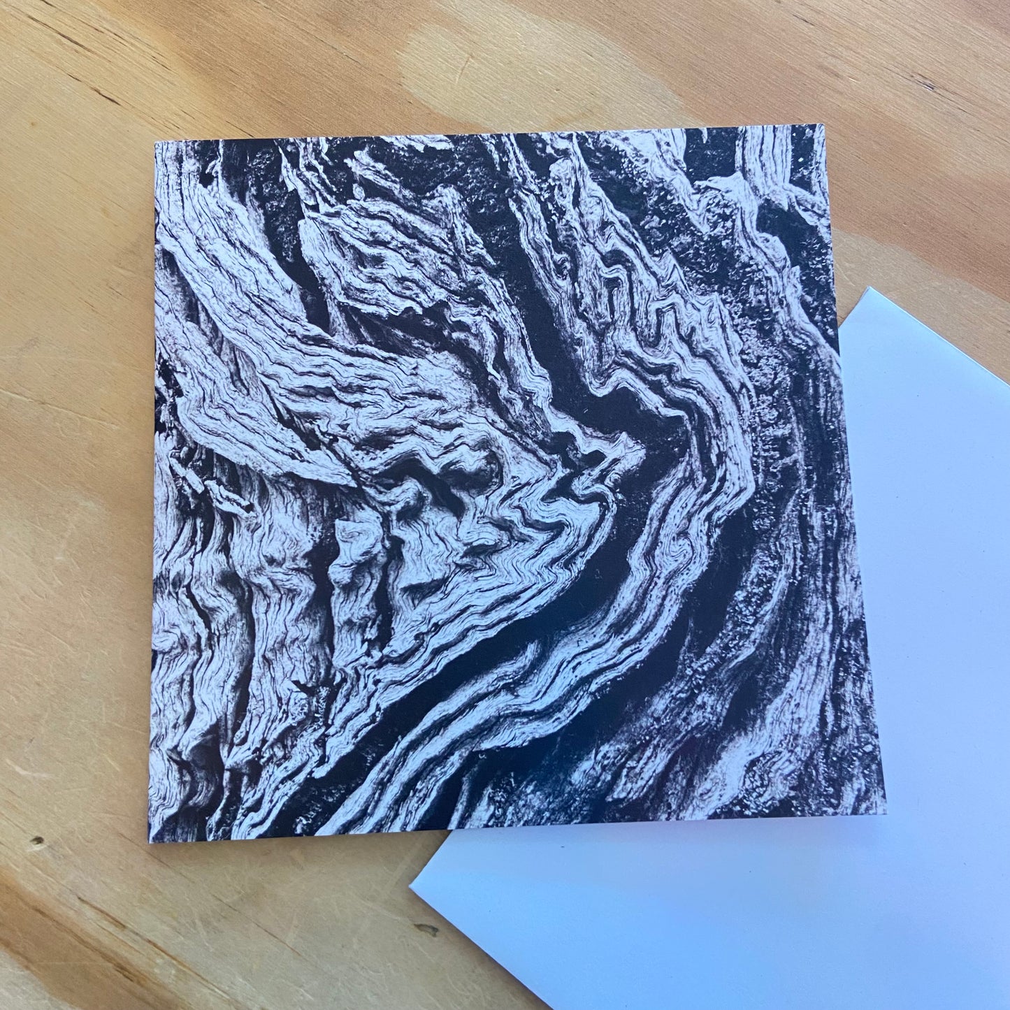 Wild Flora Greeting Card Series