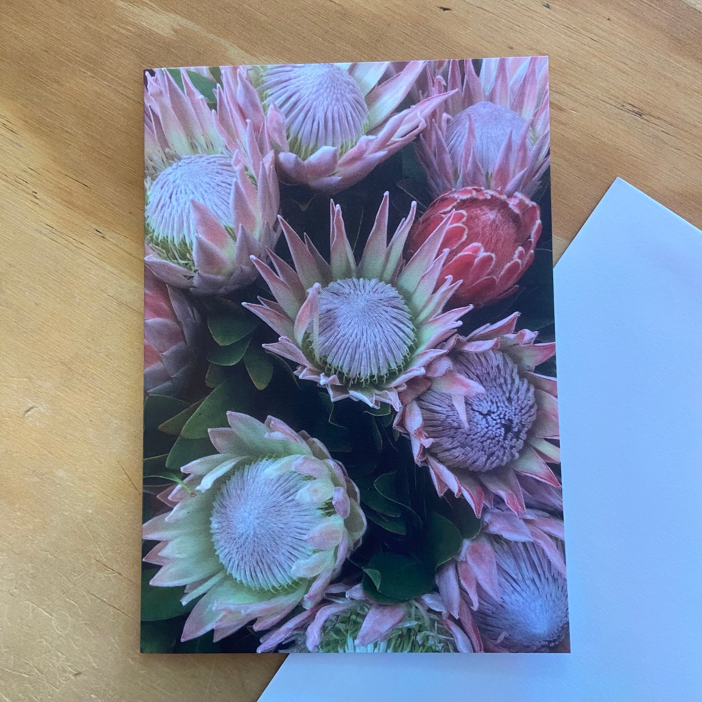 Wild Flora Greeting Card Series