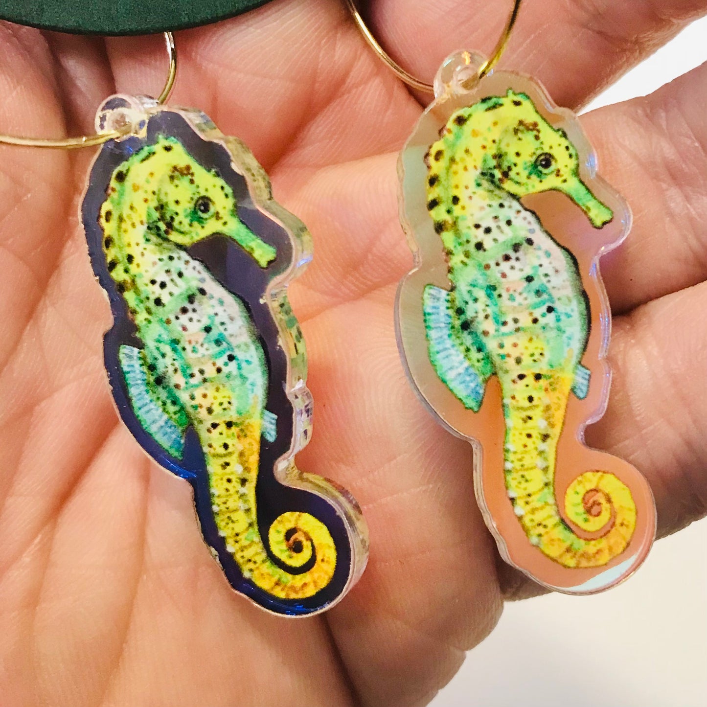 Rainbow Australian Marine Lifes Earrings Collection