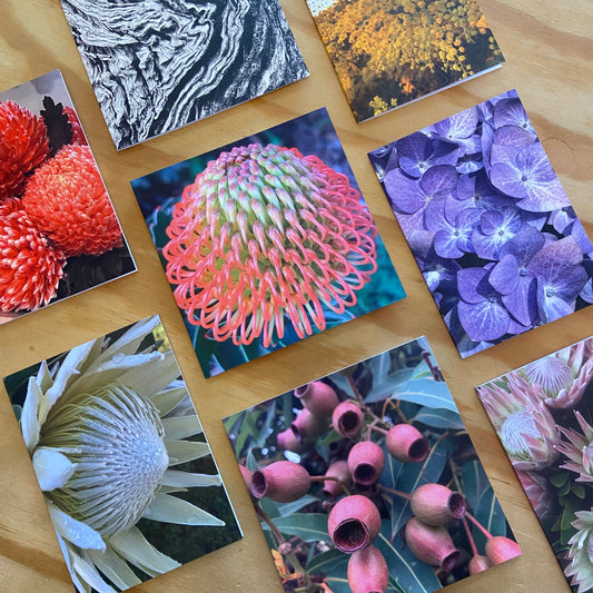 Wild Flora Greeting Card Series