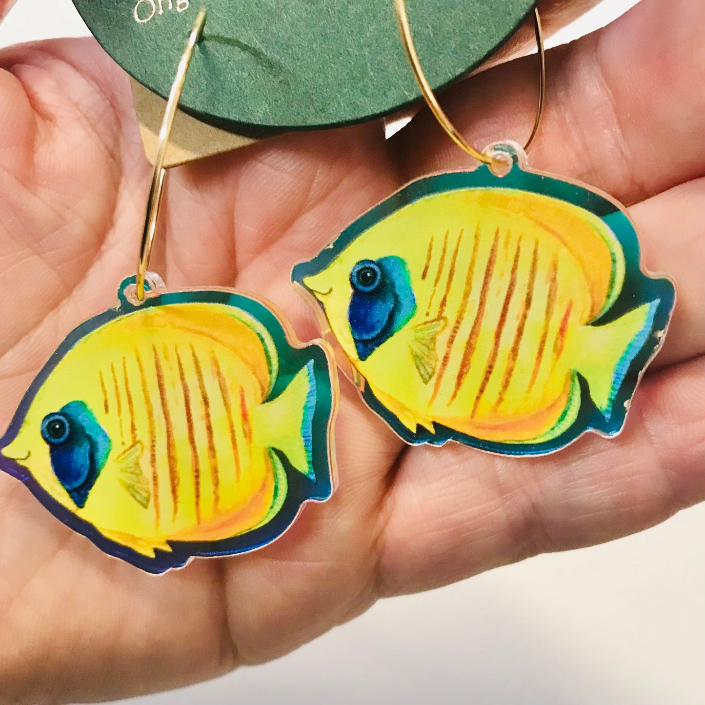 Rainbow Australian Marine Lifes Earrings Collection