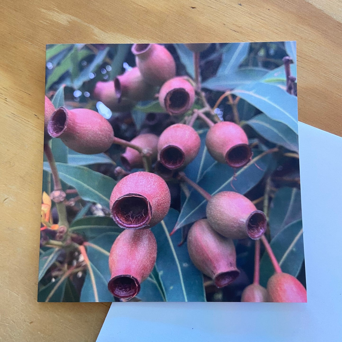 Wild Flora Greeting Card Series