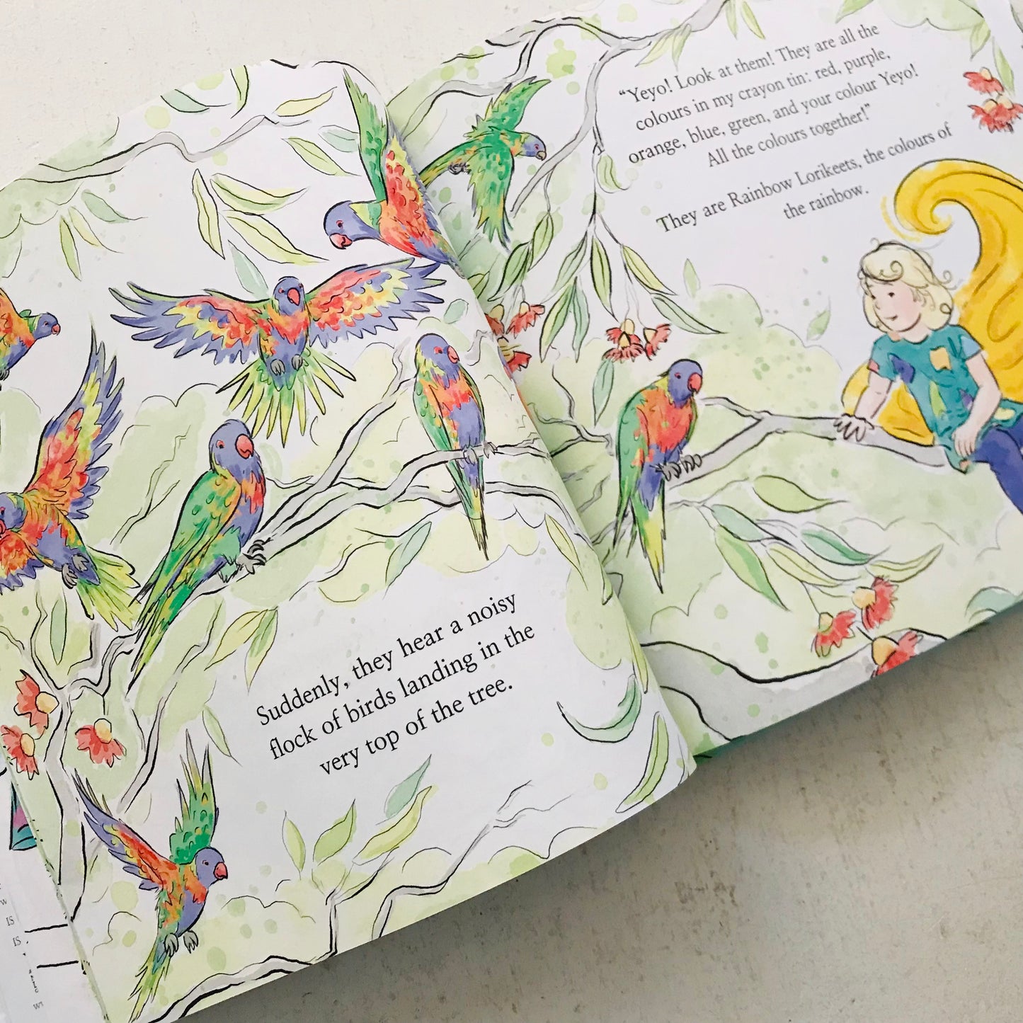 Oomski & Yeyo: An Adventure into Colour - Hardcover picture book by Margaret Dugdale