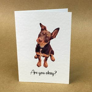 Australian Kelpie Greeting Card Collection