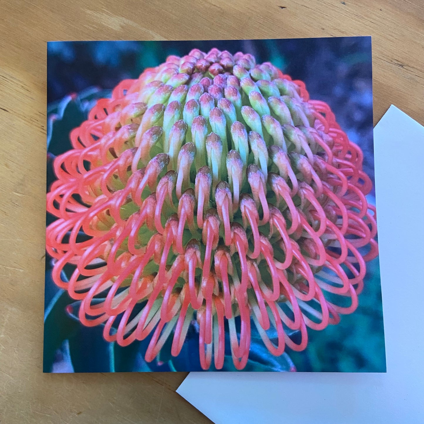 Wild Flora Greeting Card Series
