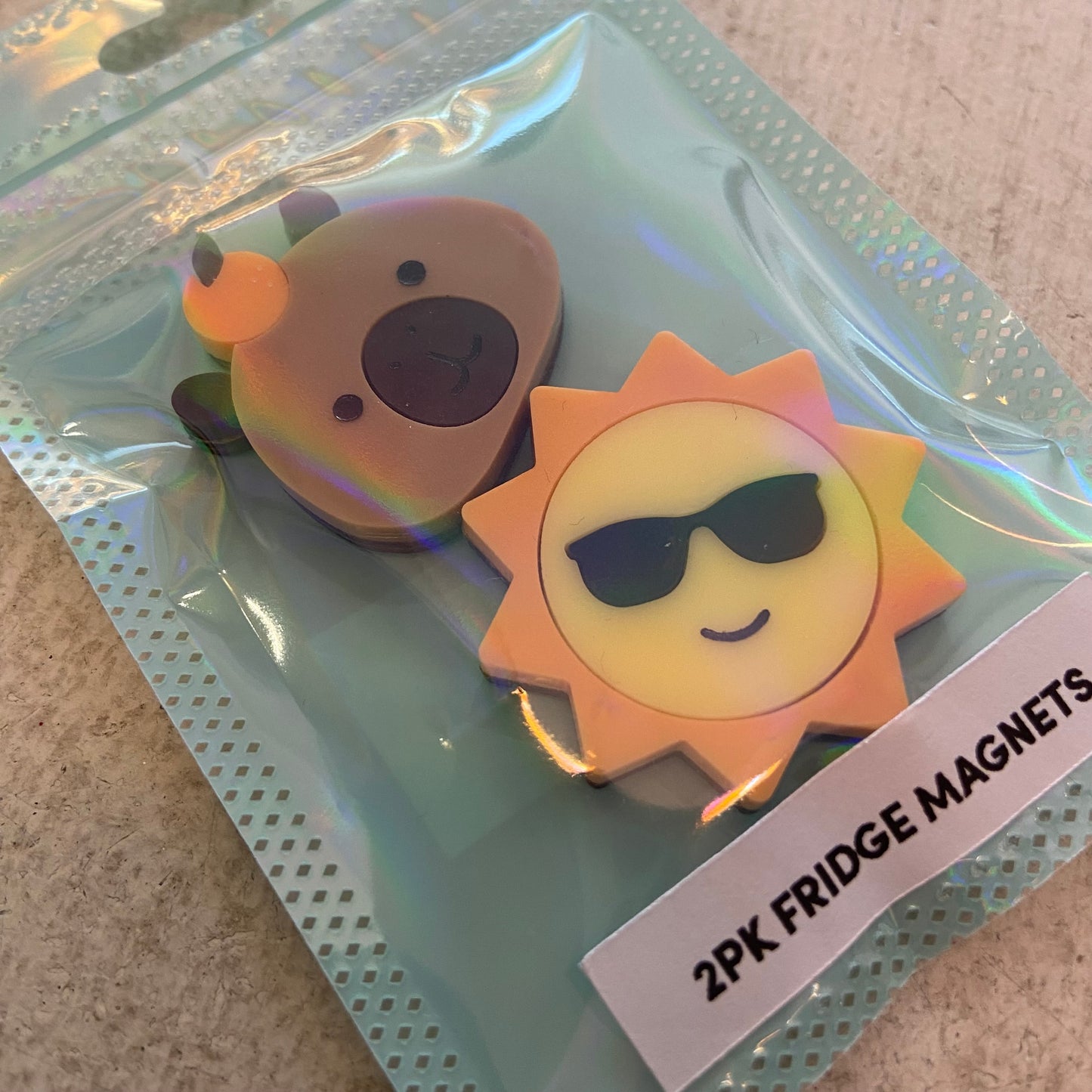 Acrylic Animal Fridge Magnets (packs of 2)