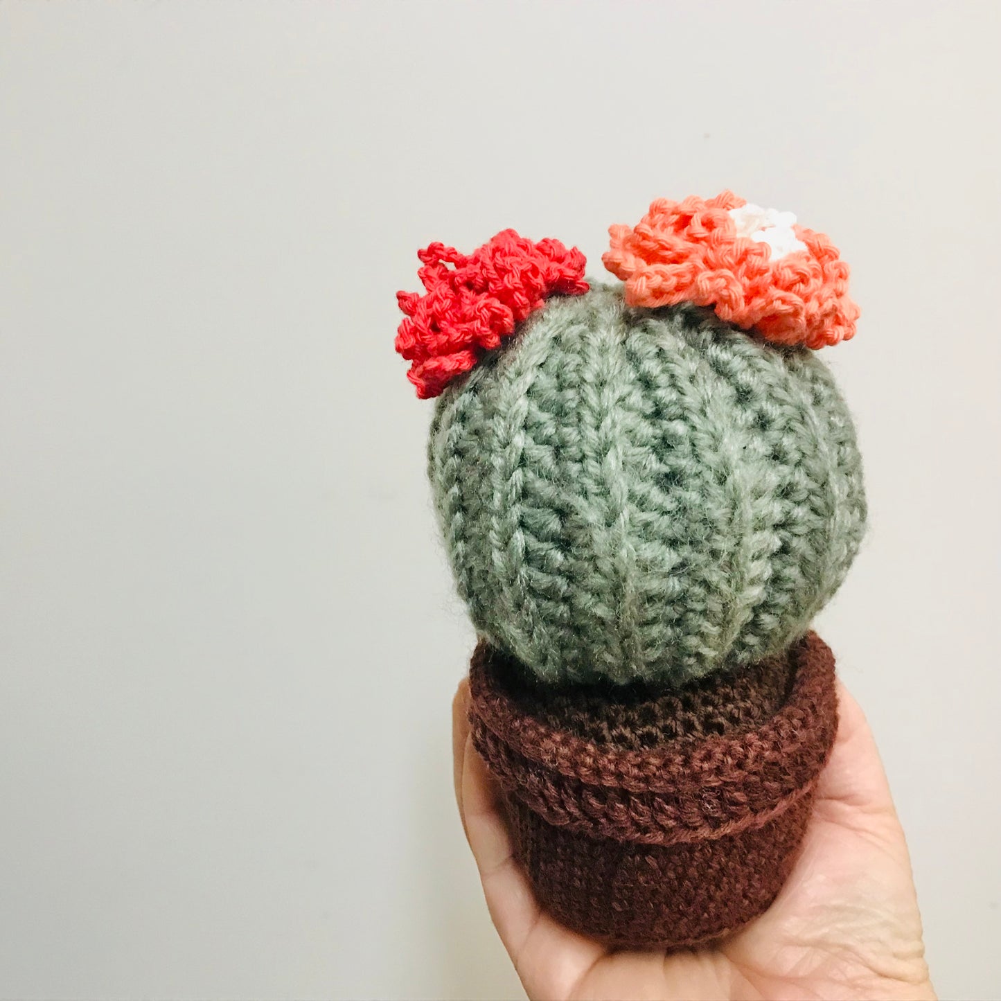Crochet Potted Plants