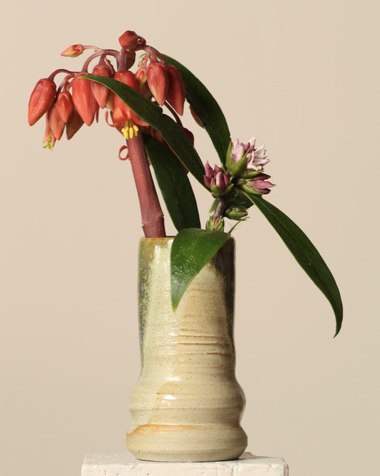 cream and green Ceramic vase with red flowers and green leaves on a beige background