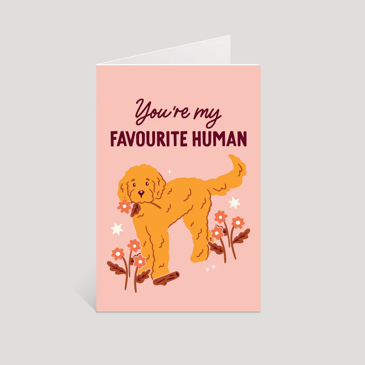 Hello Elks Art Blank Greeting Cards