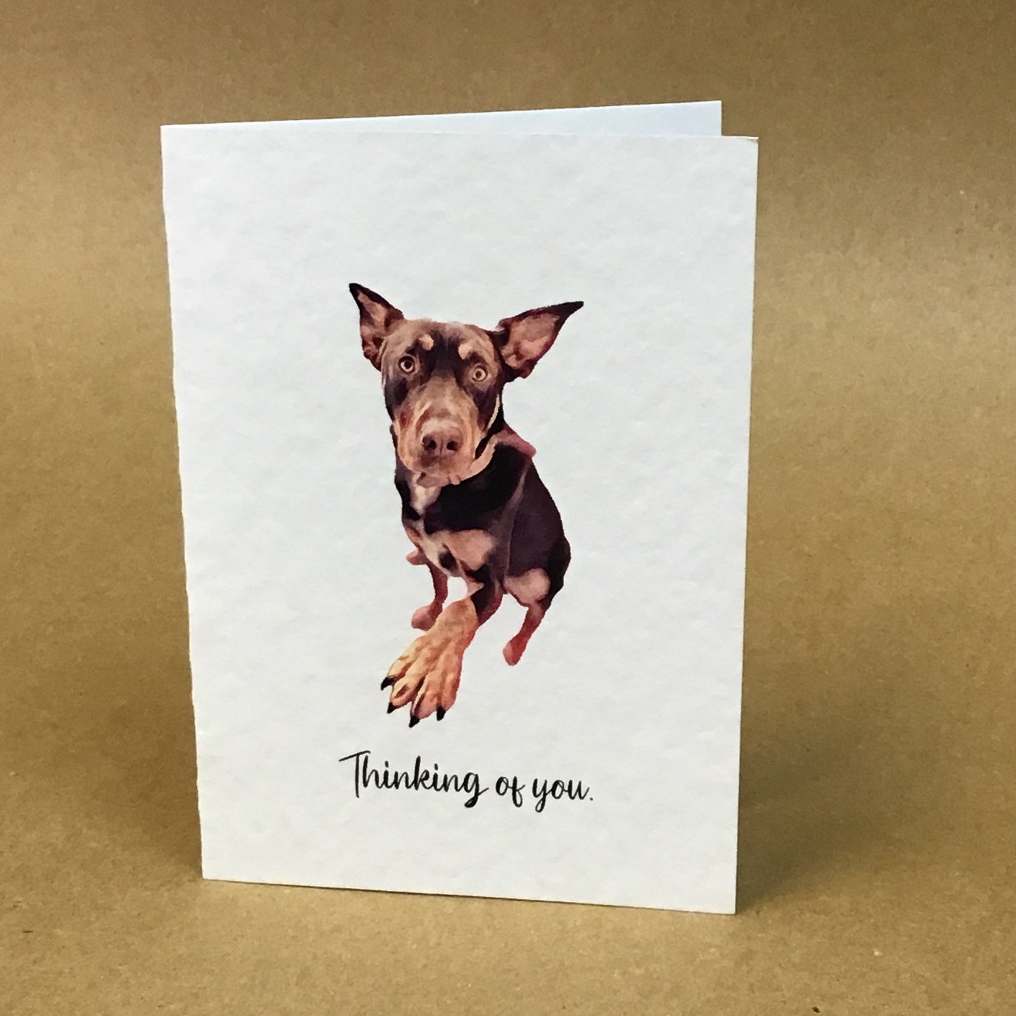Australian Kelpie Greeting Card Collection