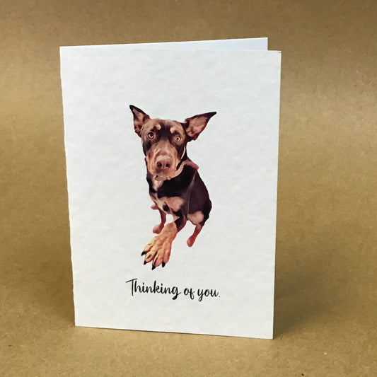 Australian Kelpie Greeting Card Collection