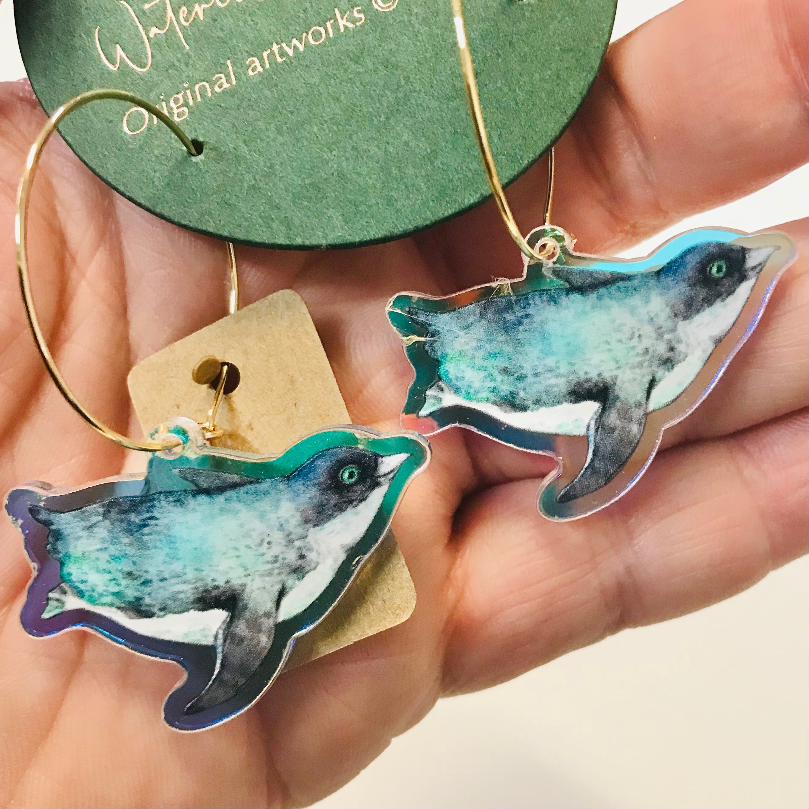Rainbow Australian Marine Lifes Earrings Collection