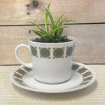 Planted OOAK Vintage Tea Cups