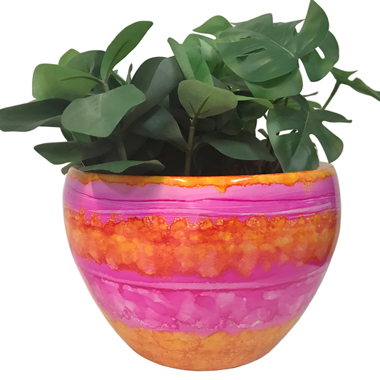 Colorful striped planter with a green plant on a white background