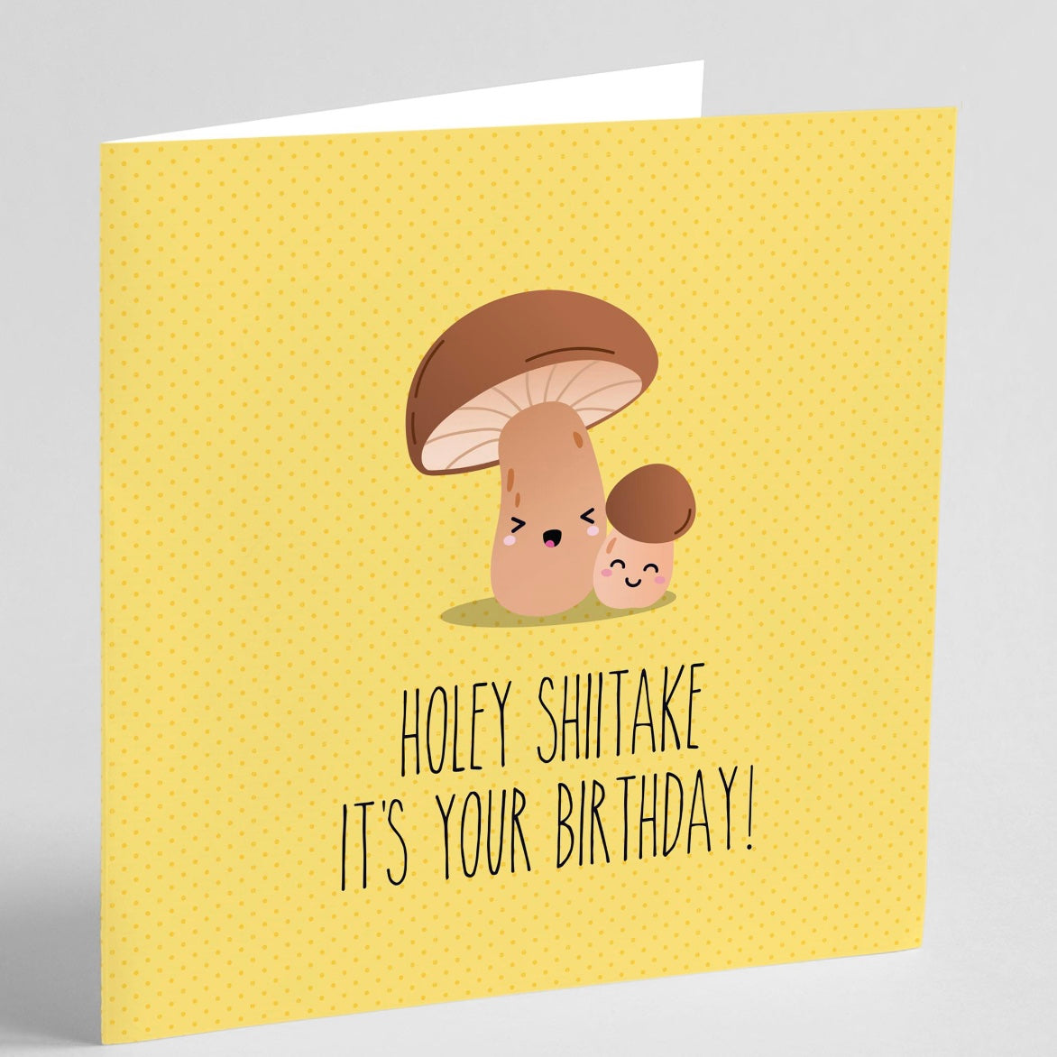 Quirky Novelty Greeting Cards with Envelopes