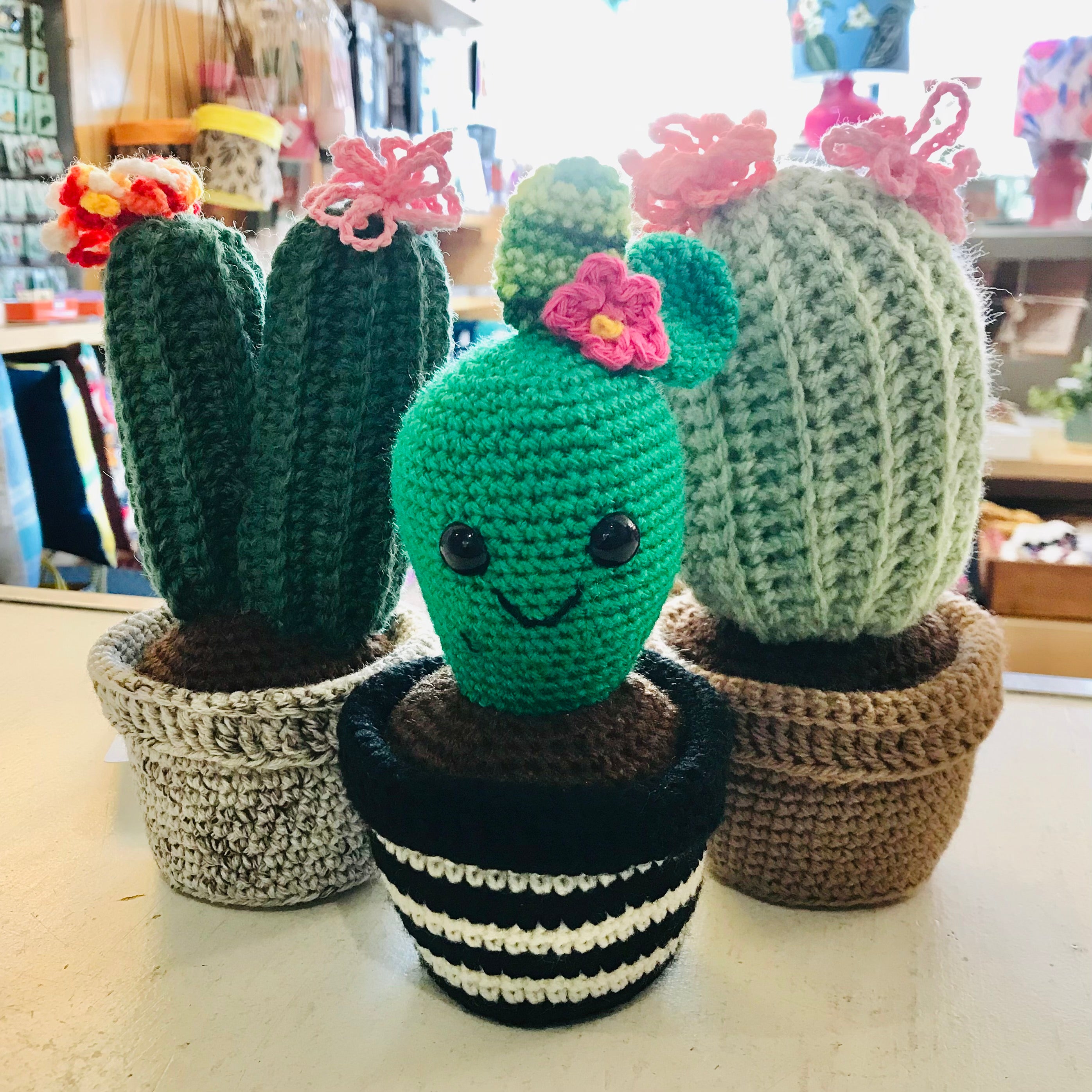 Crochet Potted Succulent Cacti Plants