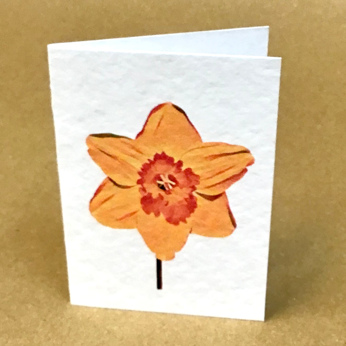 Vintage Floral Mini Greeting Card Collection