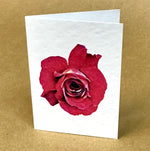 Vintage Floral Mini Greeting Card Collection