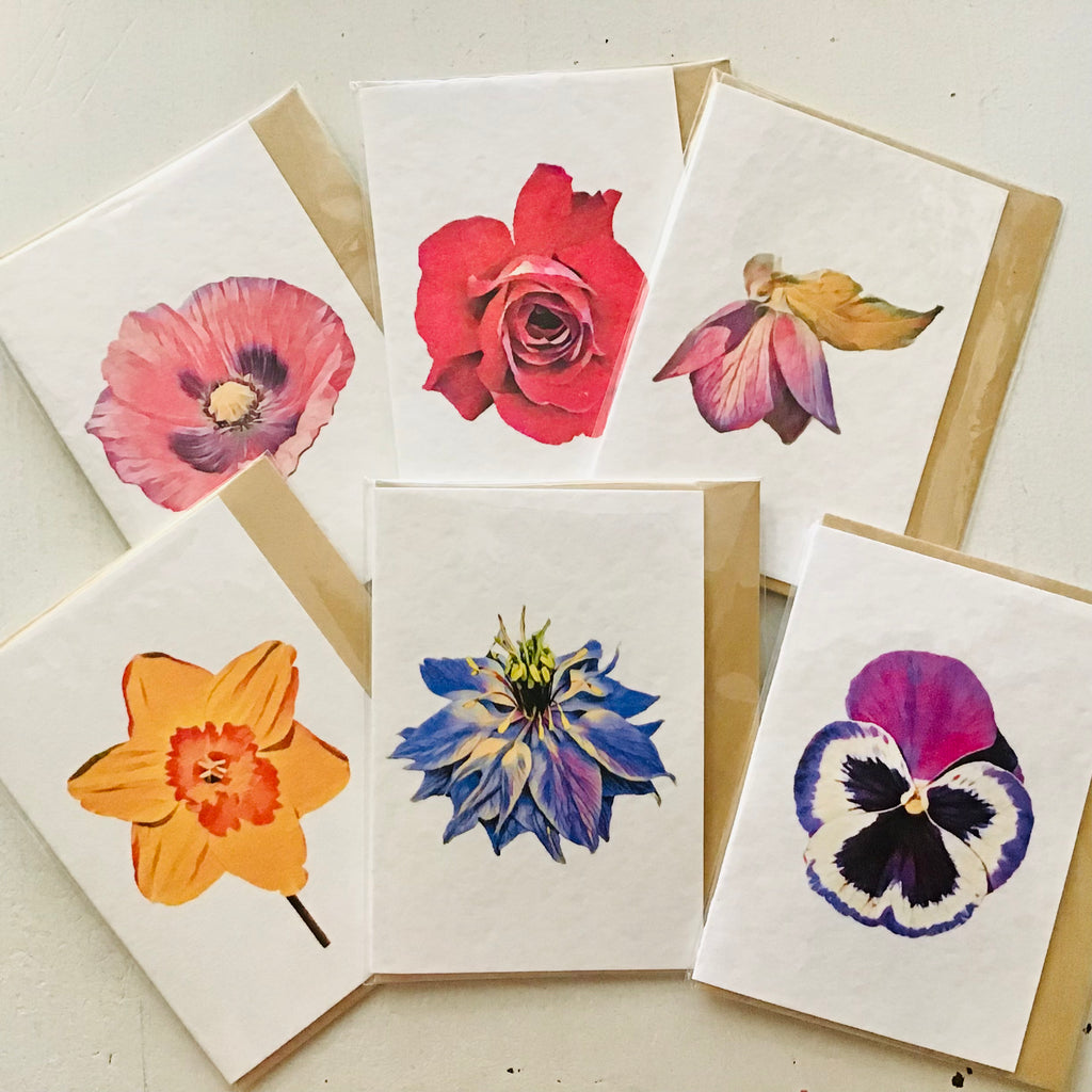 Vintage Floral Mini Greeting Card Collection