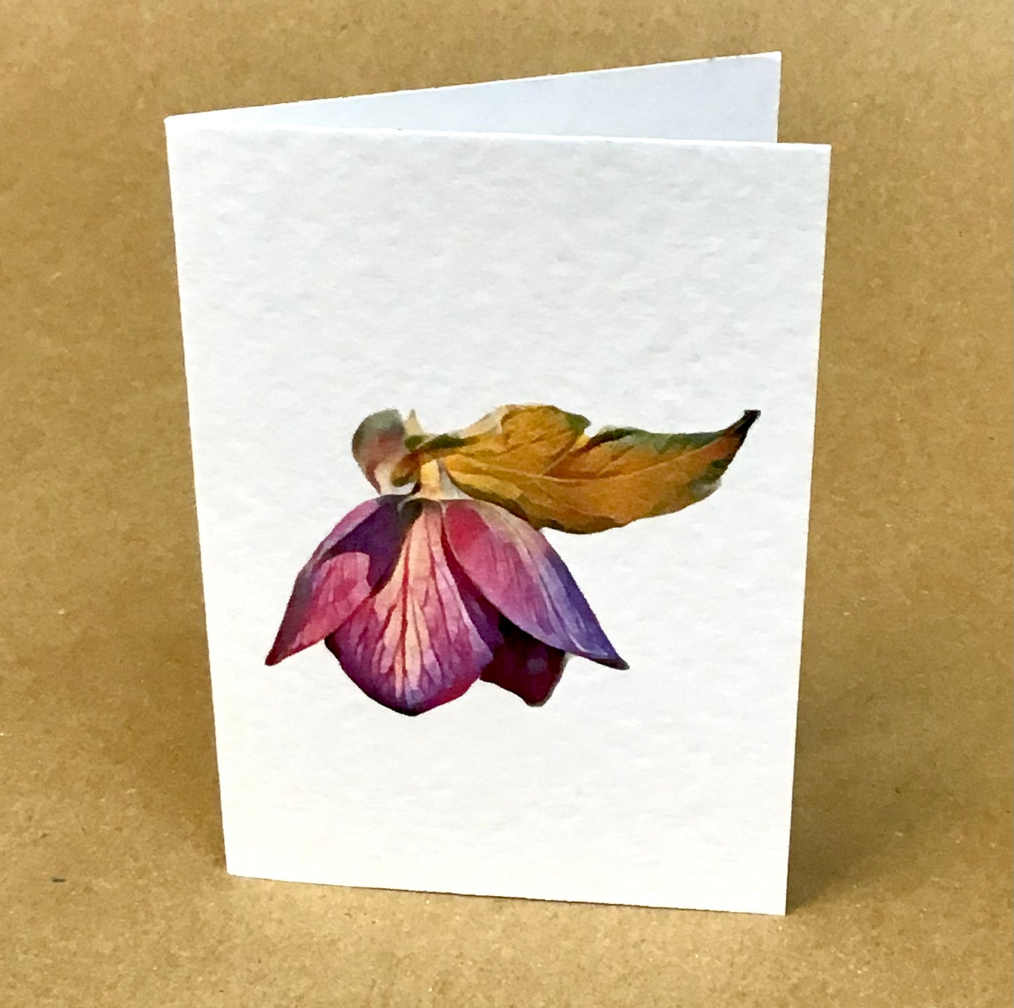Vintage Floral Mini Greeting Card Collection