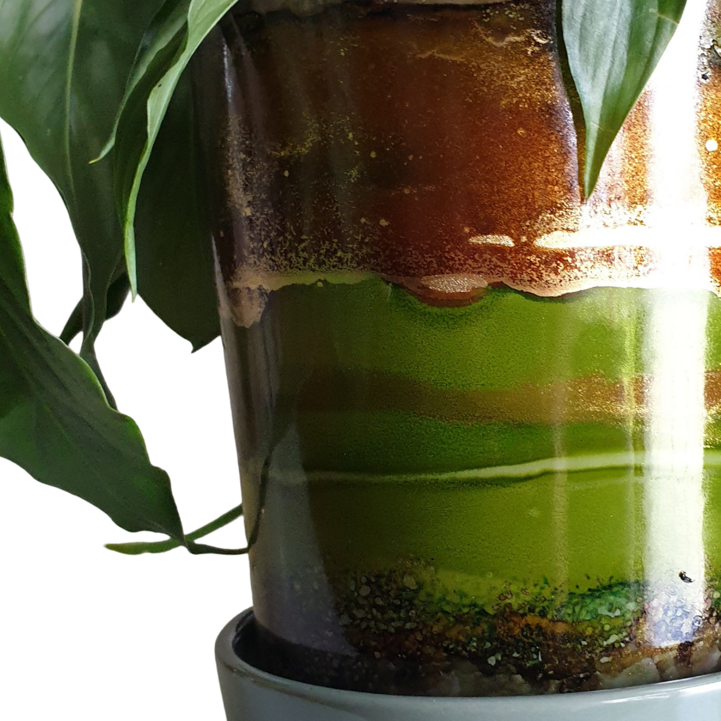 A potted houseplant with large green leaves in a cylindrical glass planter showing layered amber, brown, and green earth-like bands, set on a light gray saucer against a white background.
