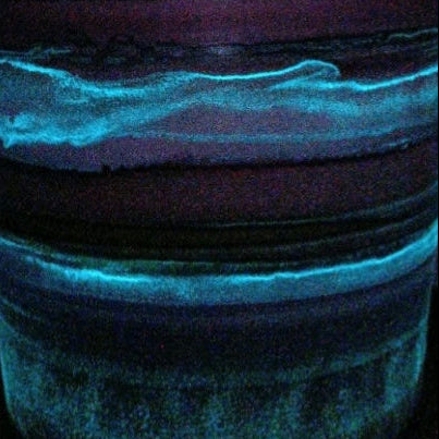 GLOW IN THE DARK Alcohol Ink planter pot with tray - POT #17