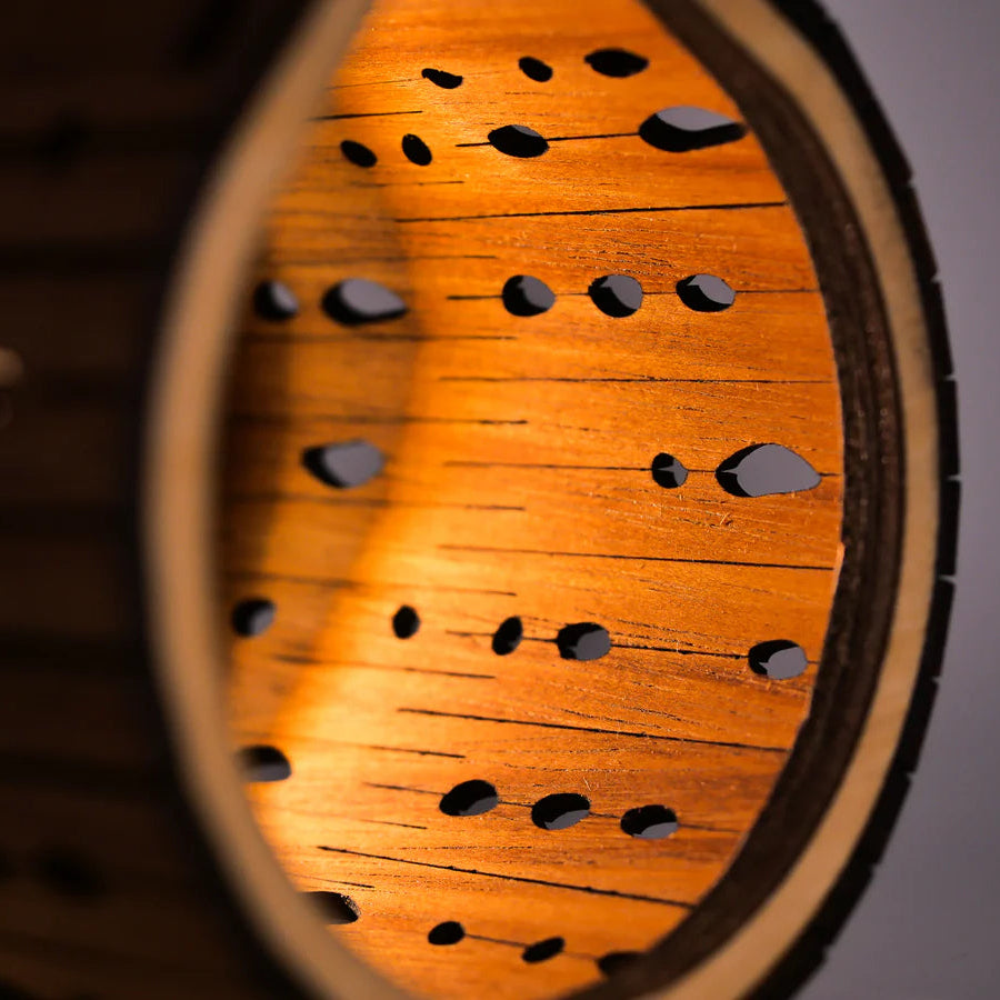Close-up of a wooden instrument with a focus on the soundboard