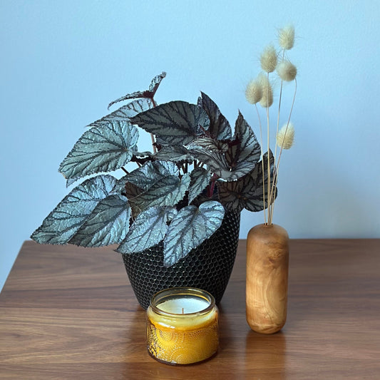 Handturned Timber Vase - Box Elder