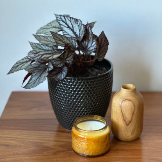 Decorative items including a potted plant, candle, and wooden vase on a wooden surface.