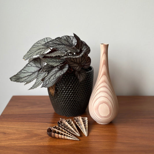Decorative items including a black textured vase with a plant, a wooden vase, and shell-like objects on a wooden surface.