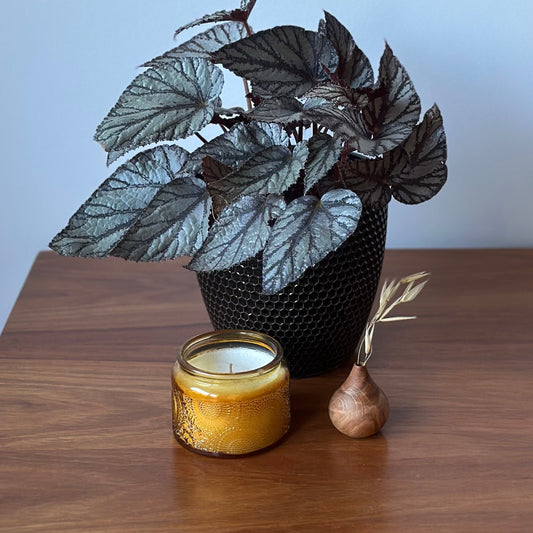Handturned Timber Vase - Oak Mini Droplet