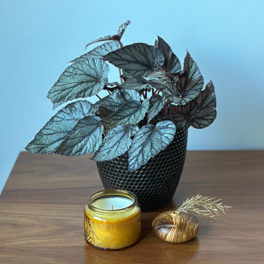 Handturned Timber Vase - Olive Pebble