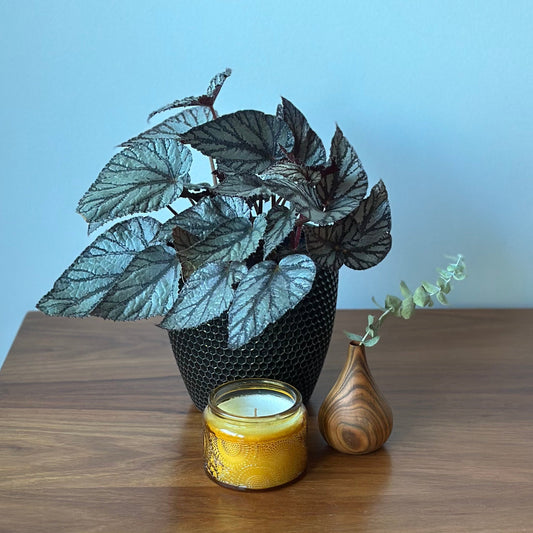Handturned Timber Vase - Peach Droplet