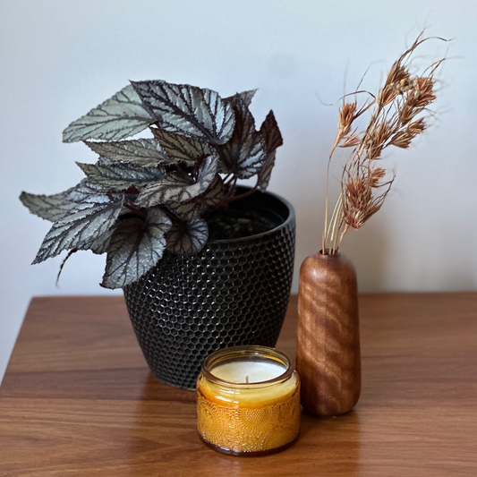 Candle, potted plant, and wooden vase on a wooden surface with a white wall background
