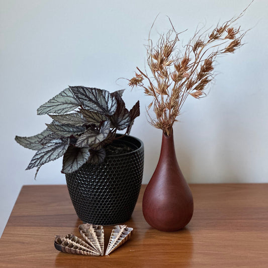 Decorative items including a potted plant, vase with dried flowers, and decorative leaves on a wooden surface.