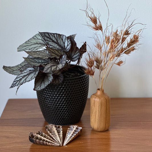 Decorative items including a black textured vase with a plant, a wooden vase with dried plants, and a decorative shell on a wooden surface.