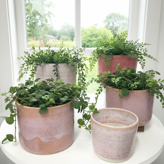 Ceramic Handthrown Planters (medium)