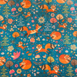 Baby Blankets