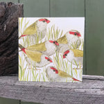 Original Bird Etching Print Greeting Cards with Envelopes