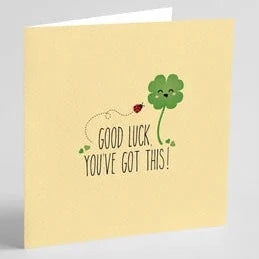 Quirky Novelty Greeting Cards with Envelopes