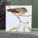 Original Bird Etching Print Greeting Cards with Envelopes